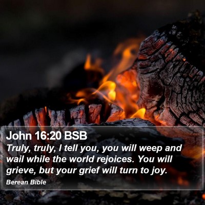 John 16:20 BSB Bible Verse Image
