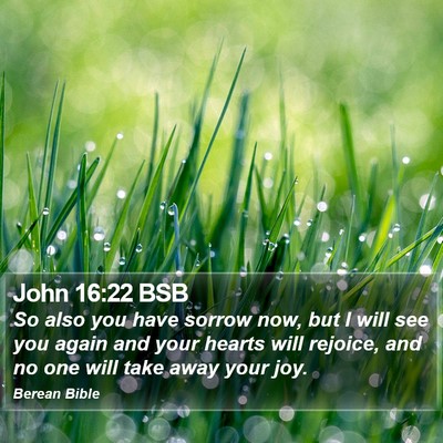 John 16:22 BSB Bible Verse Image