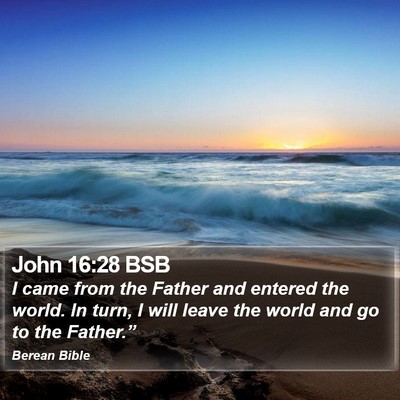John 16:28 BSB Bible Verse Image