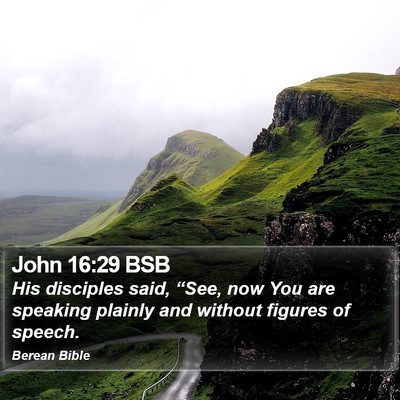 John 16:29 BSB Bible Verse Image