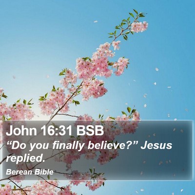 John 16:31 BSB Bible Verse Image