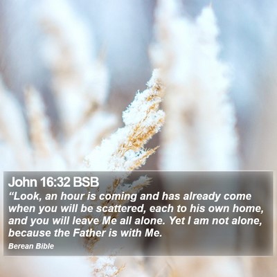 John 16:32 BSB Bible Verse Image