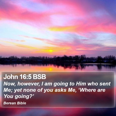 John 16:5 BSB Bible Verse Image
