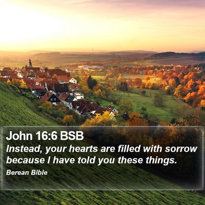 John 16:6 BSB Bible Verse Image