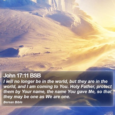 John 17:11 BSB Bible Verse Image