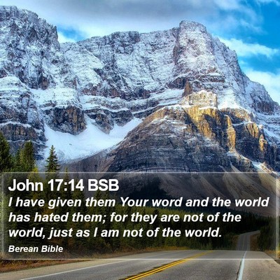 John 17:14 BSB Bible Verse Image