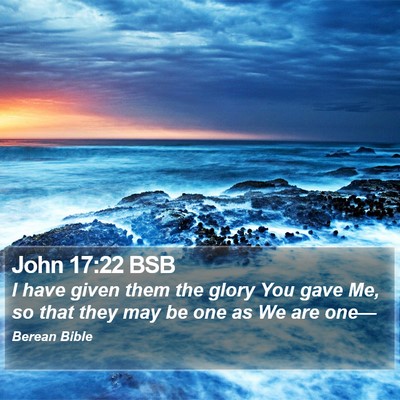 John 17:22 BSB Bible Verse Image