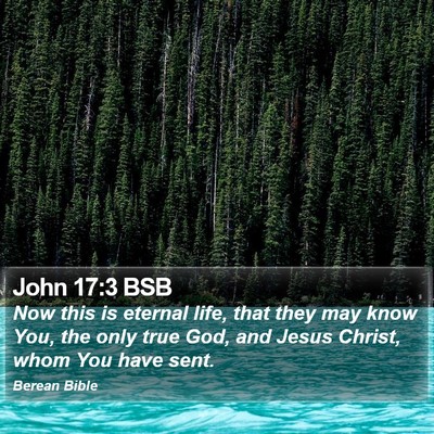 John 17:3 BSB Bible Verse Image