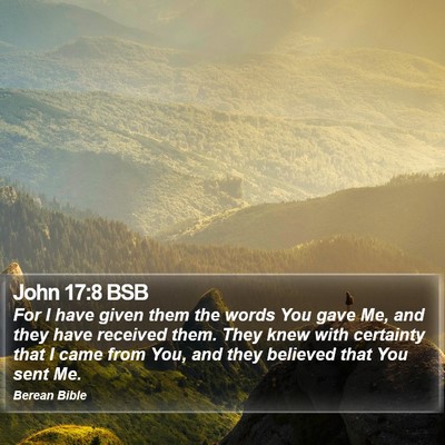 John 17:8 BSB Bible Verse Image