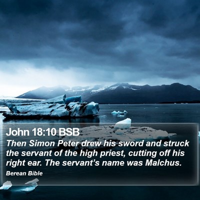 John 18:10 BSB Bible Verse Image