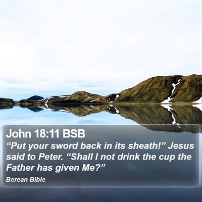 John 18:11 BSB Bible Verse Image