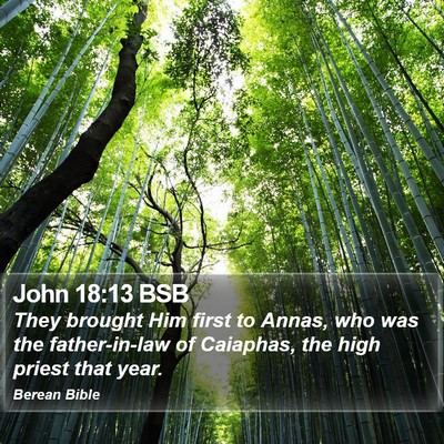 John 18:13 BSB Bible Verse Image