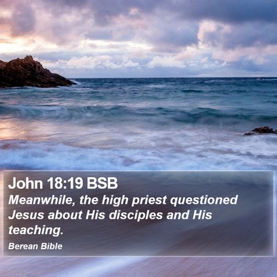 John 18:19 BSB Bible Verse Image