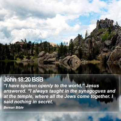 John 18:20 BSB Bible Verse Image