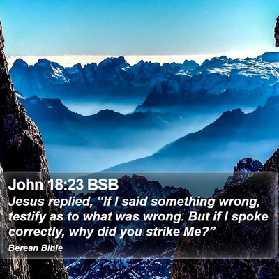 John 18:23 BSB Bible Verse Image