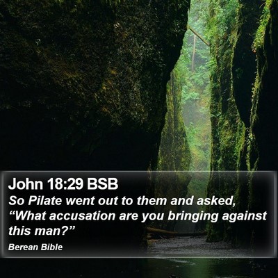 John 18:29 BSB Bible Verse Image