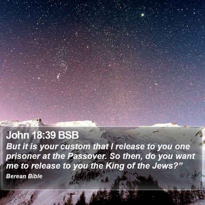John 18:39 BSB Bible Verse Image