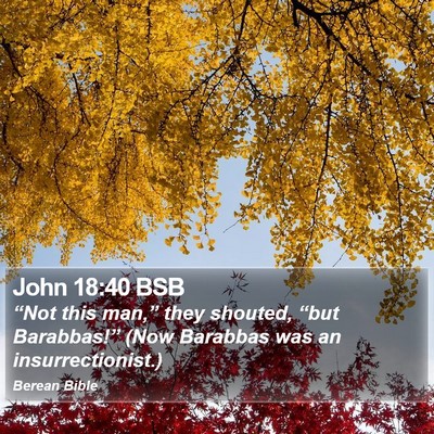 John 18:40 BSB Bible Verse Image