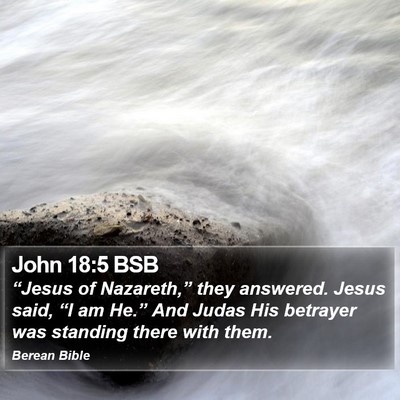 John 18:5 BSB Bible Verse Image