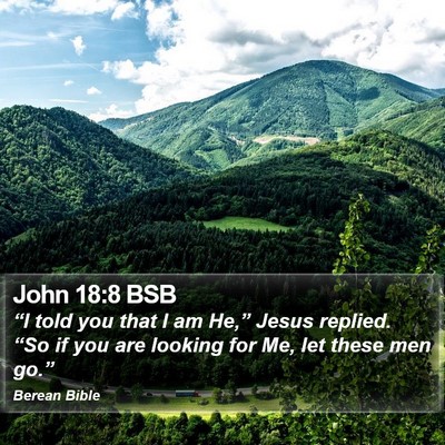 John 18:8 BSB Bible Verse Image