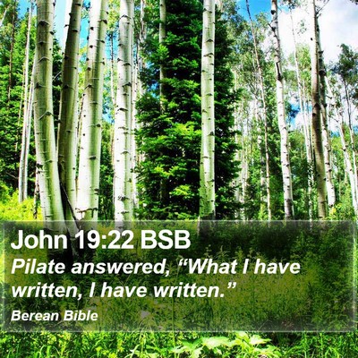 John 19:22 BSB Bible Verse Image
