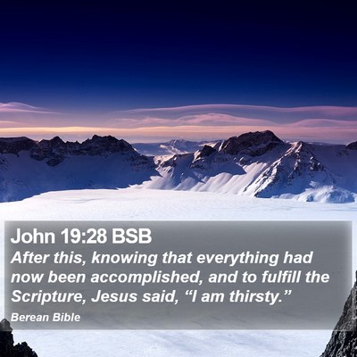 John 19:28 BSB Bible Verse Image