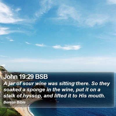 John 19:29 BSB Bible Verse Image