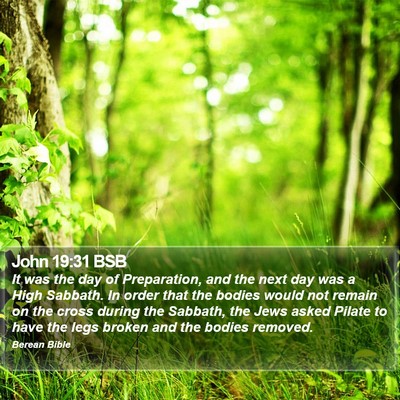 John 19:31 BSB Bible Verse Image