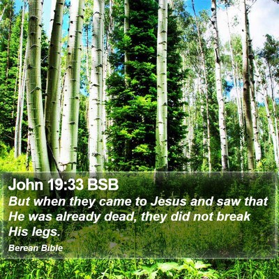 John 19:33 BSB Bible Verse Image
