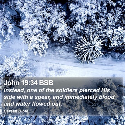 John 19:34 BSB Bible Verse Image