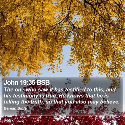 John 19:35 BSB Bible Verse Image