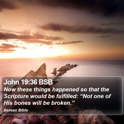 John 19:36 BSB Bible Verse Image
