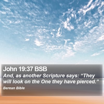 John 19:37 BSB Bible Verse Image