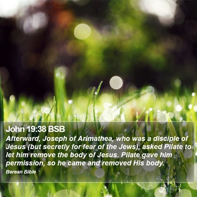 John 19:38 BSB Bible Verse Image