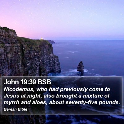 John 19:39 BSB Bible Verse Image