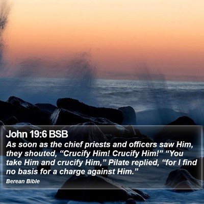 John 19:6 BSB Bible Verse Image