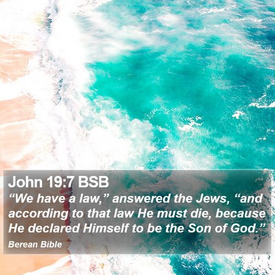 John 19:7 BSB Bible Verse Image