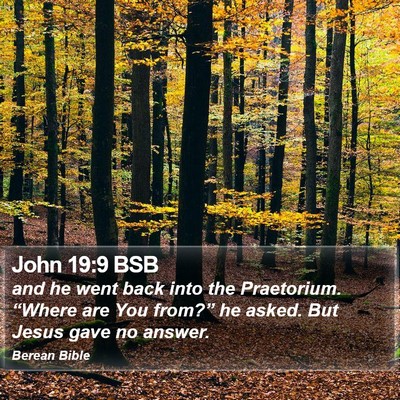 John 19:9 BSB Bible Verse Image