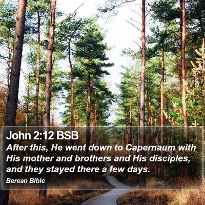 John 2:12 BSB Bible Verse Image