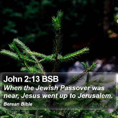 John 2:13 BSB Bible Verse Image