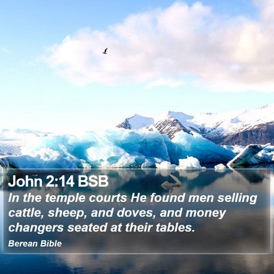 John 2:14 BSB Bible Verse Image