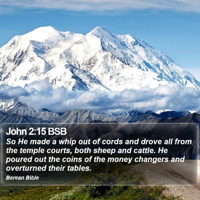 John 2:15 BSB Bible Verse Image