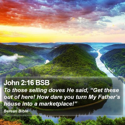 John 2:16 BSB Bible Verse Image