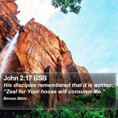 John 2:17 BSB Bible Verse Image