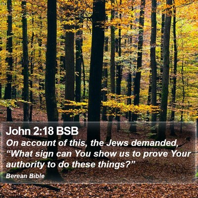 John 2:18 BSB Bible Verse Image