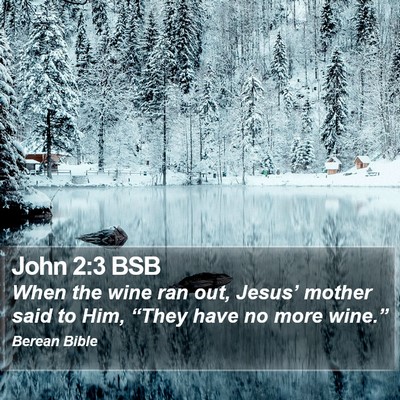 John 2:3 BSB Bible Verse Image