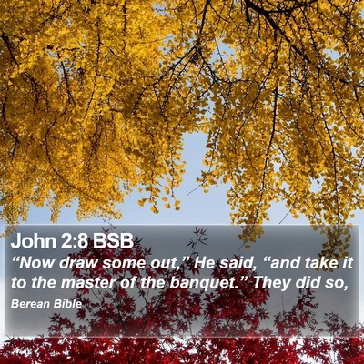 John 2:8 BSB Bible Verse Image