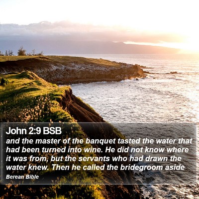 John 2:9 BSB Bible Verse Image