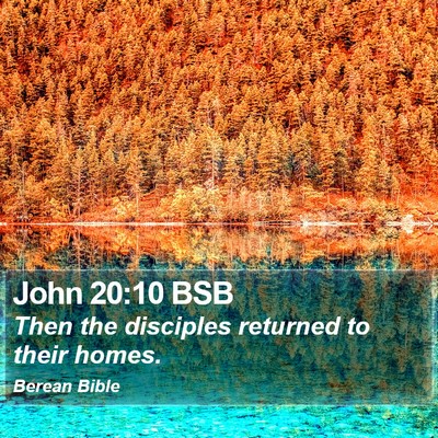 John 20:10 BSB Bible Verse Image