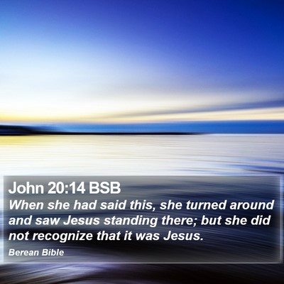 John 20:14 BSB Bible Verse Image